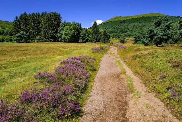 Auvergne