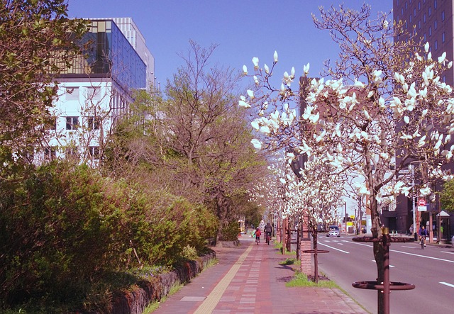 Japon